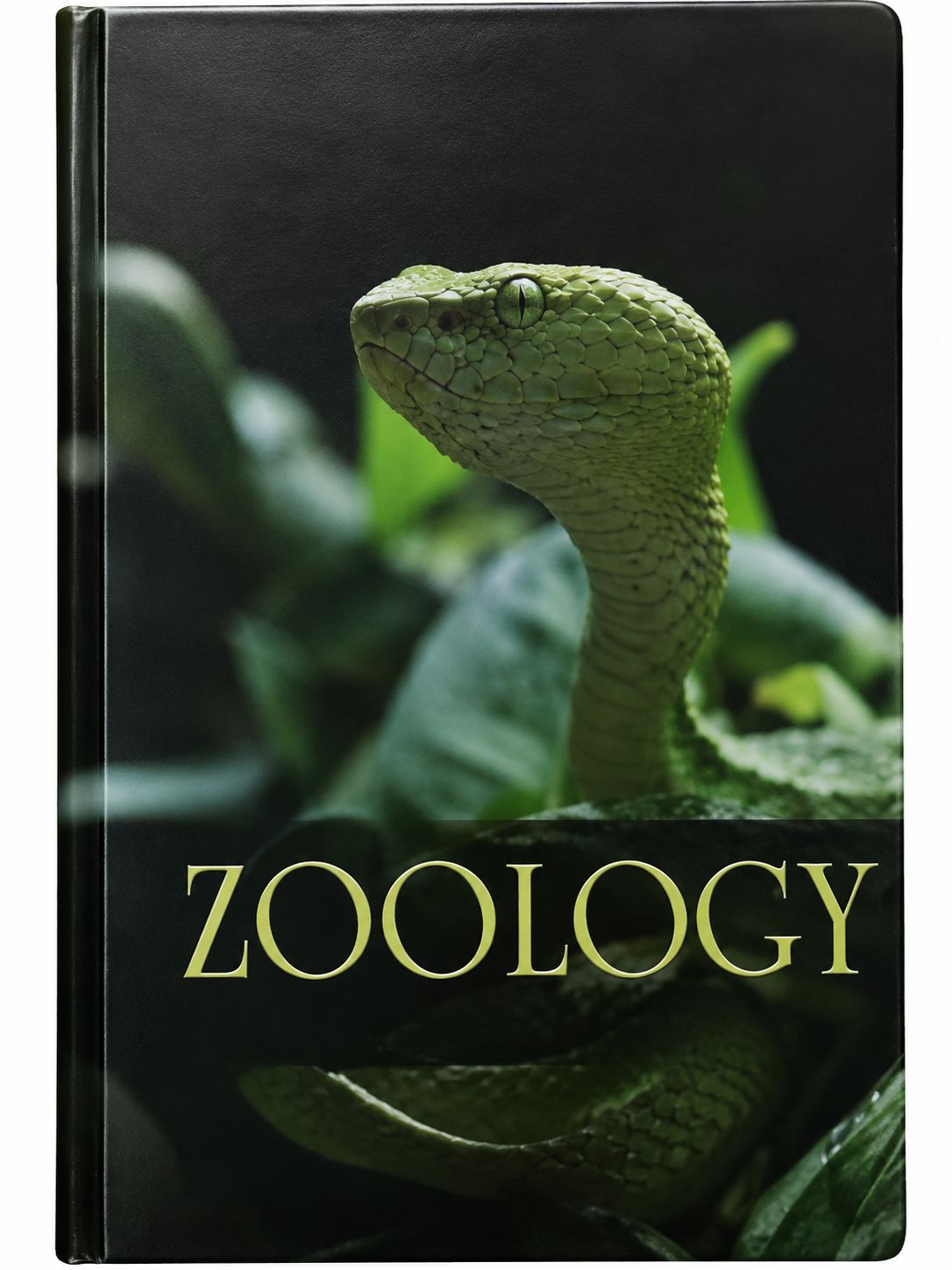 Zoology for CEE cover